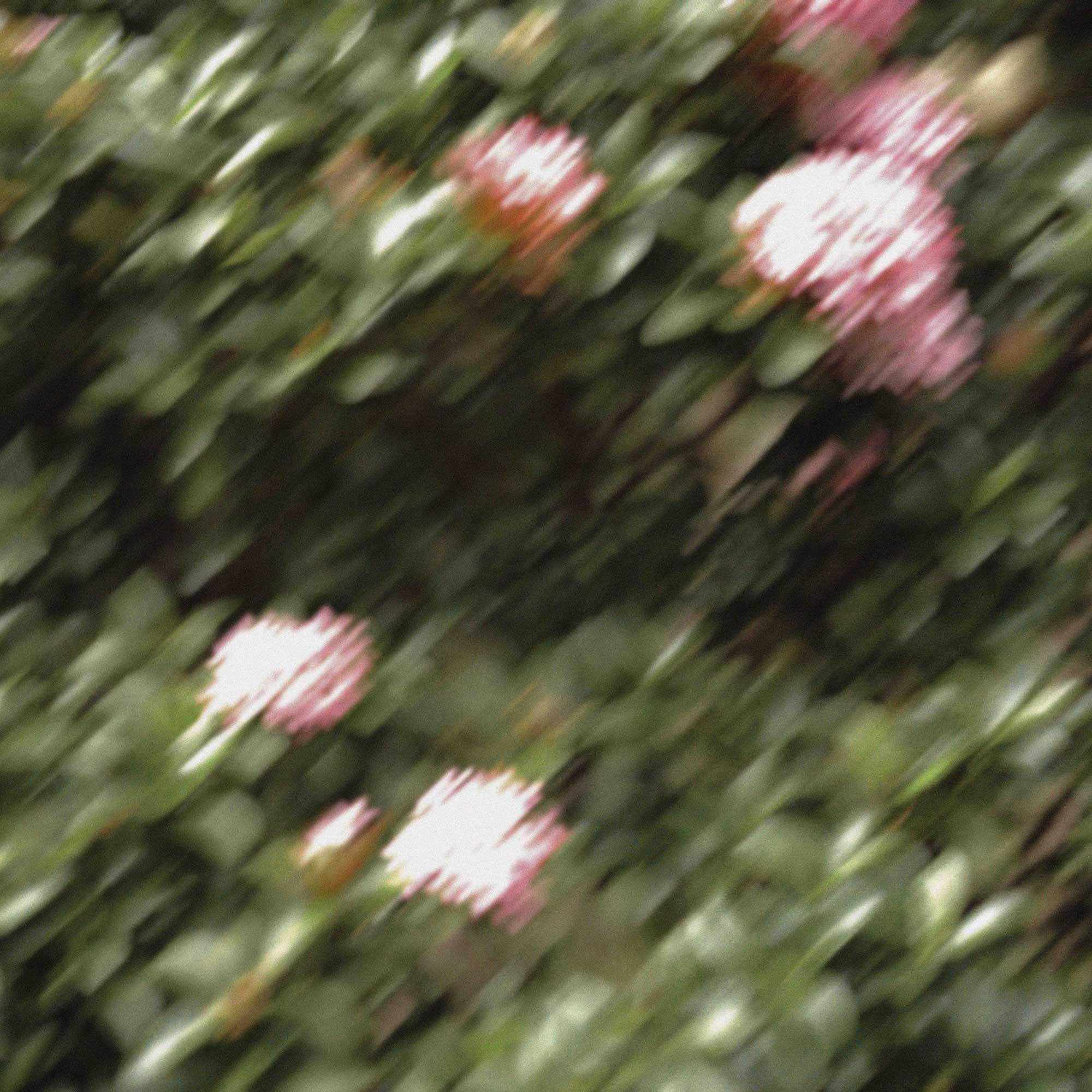 Hanging Garden 室內擴香 200mL