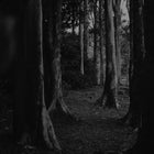 Unwind Hour Reed Diffuser 200mL