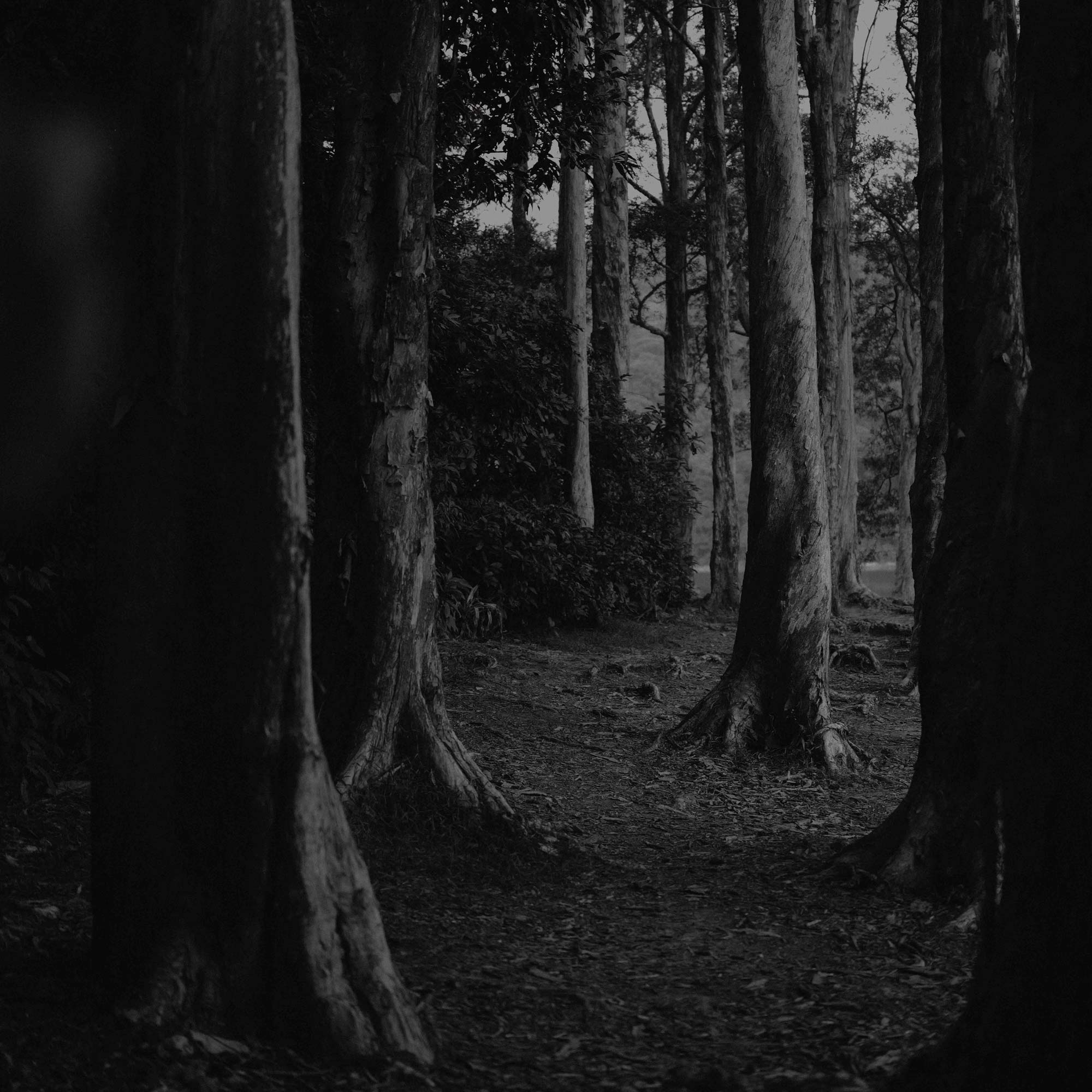 Unwind Hour Reed Diffuser 200mL