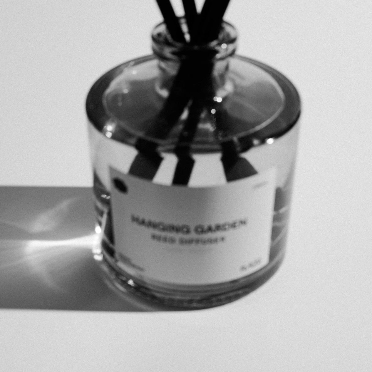 Raize Diffuser Hanging Garden Reed Diffuser 200mL | RAZE